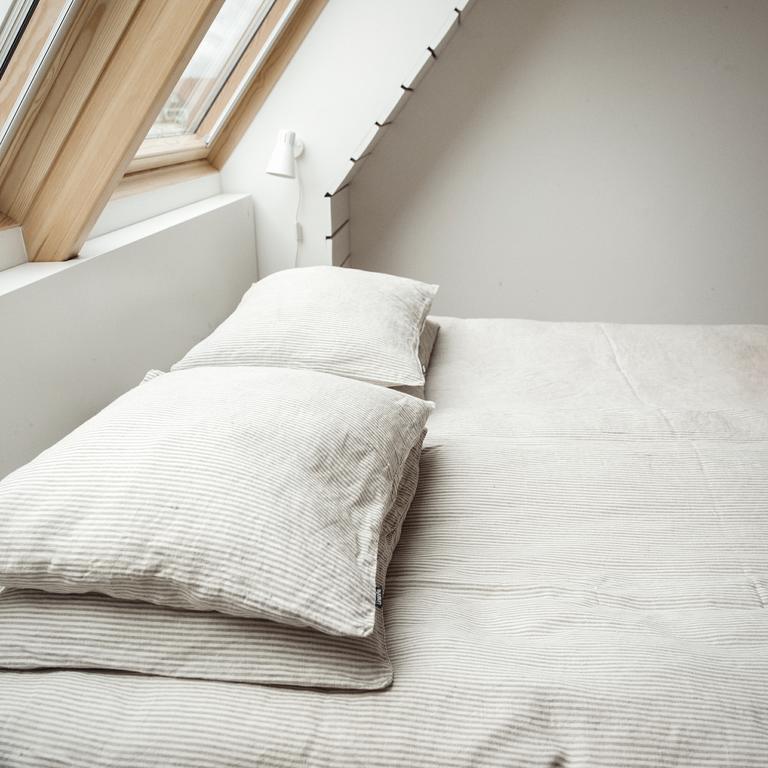 Domi Lini Apartment Друскининкай Екстериор снимка